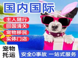 巴马航空货运国际宠物托运 【国